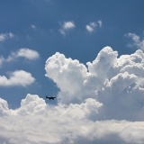 IMG_0232-1000