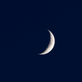 IMG_0797-1000