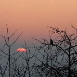 IMG_9012-1000