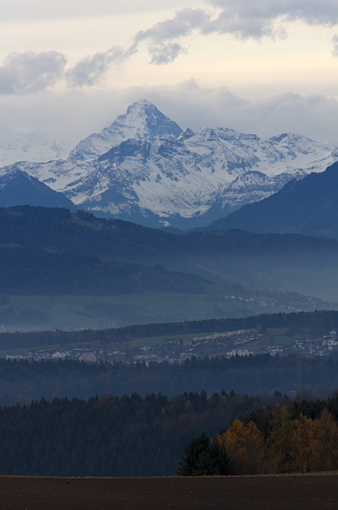 img_8917-1000